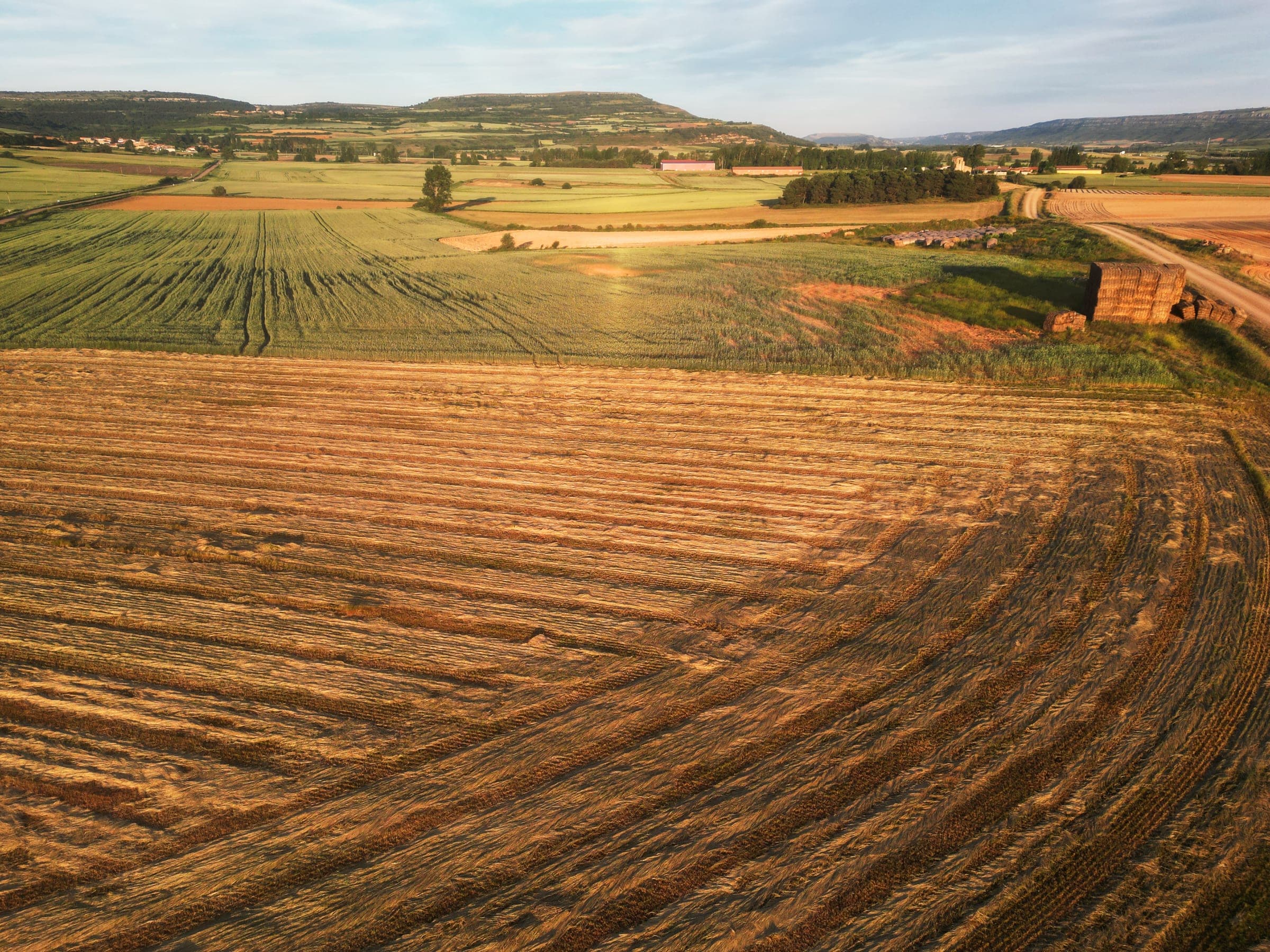 Aerial survey view over harvested farmland at golden hour